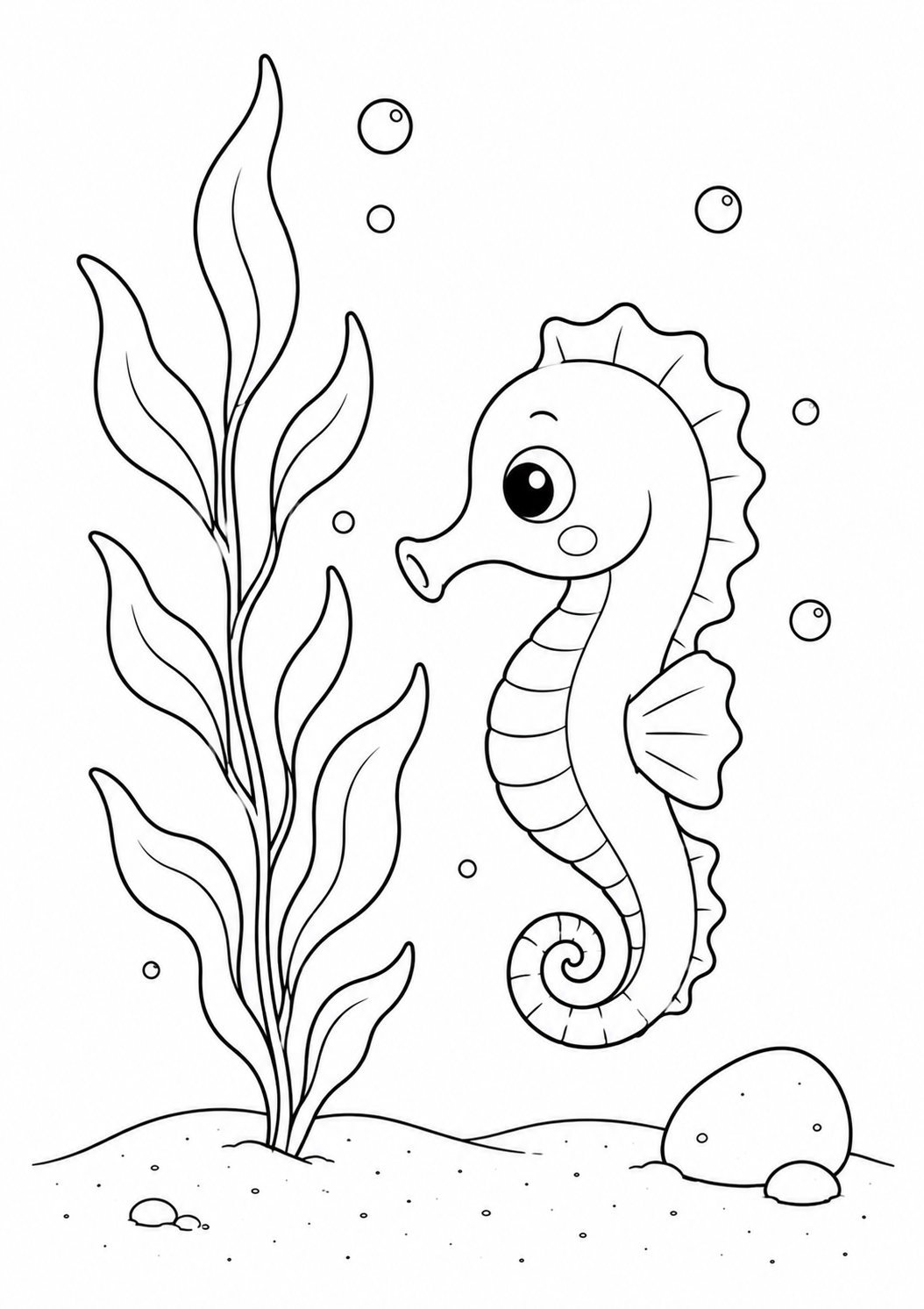My Ocean Adventure