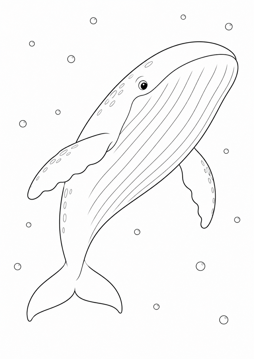 My Ocean Adventure